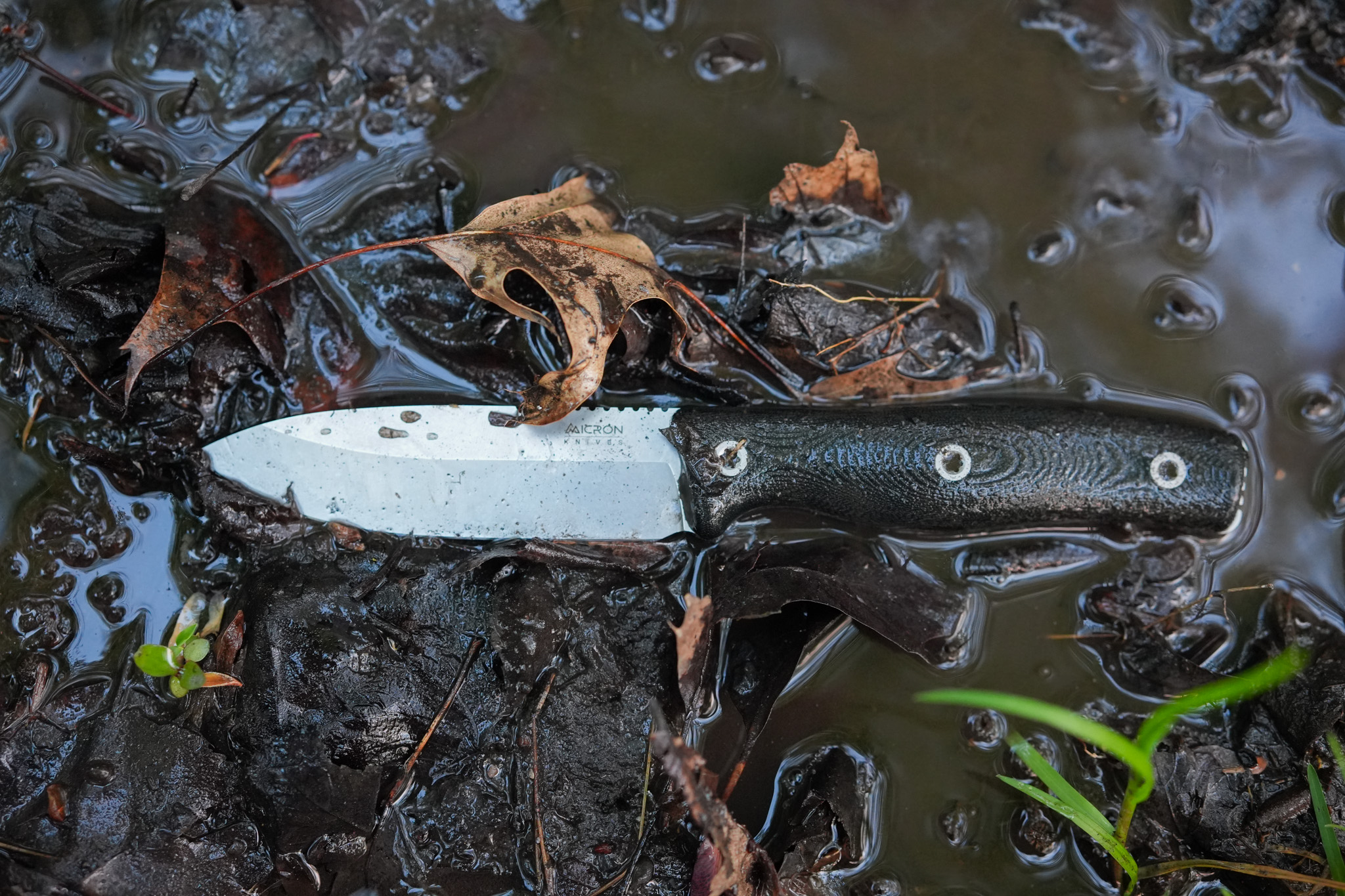 A fixed-blade knife with a dark handle lies on wet, muddy ground surrounded by fallen leaves and small plants. About half of the blade is partially covered with water droplets and mud.