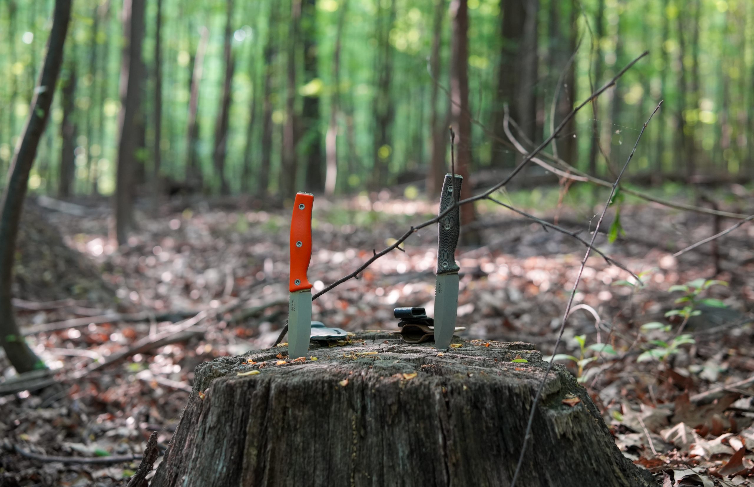 Two knives are stuck upright in a tree stump in a sunlit forest, surrounded by fallen leaves and trees. The knife on the left has an orange handle, while the knife on the right has a dark handle.